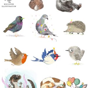 Characterstolicence1