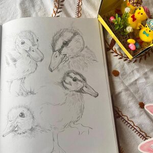 Nicolour sketchbook pencildrawing1