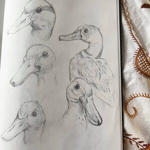 Nicolour sketchbook pencildrawing3