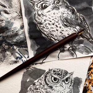 Nicolour workshops inkdrawing