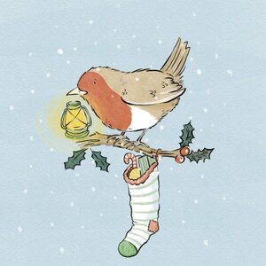 Robin.festive.tolicence